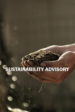 Sustainability Advisory Services in Crete - ARENCOS Engineers and Consultants
