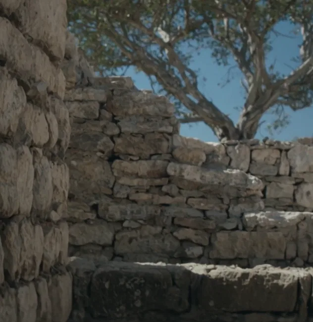 Stone & Light - Renovation Project in Apokoronas by ARENCOS