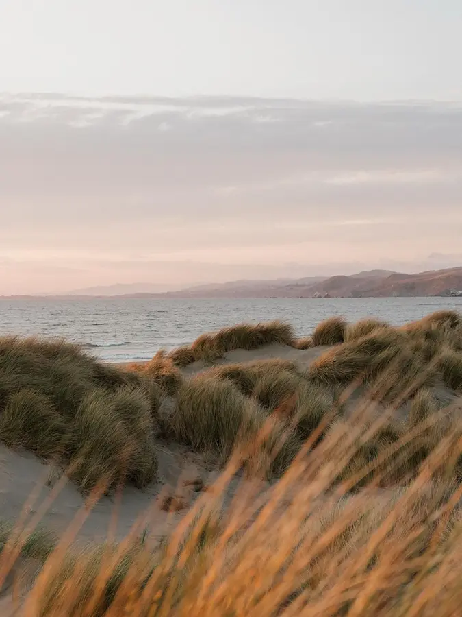 Structures near the sea - ARENCOS