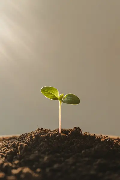 Off-Grid Property Construction Philosophy - ARENCOS
