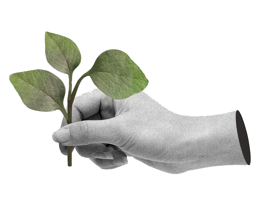 ARENCOS Environmental Planning Services