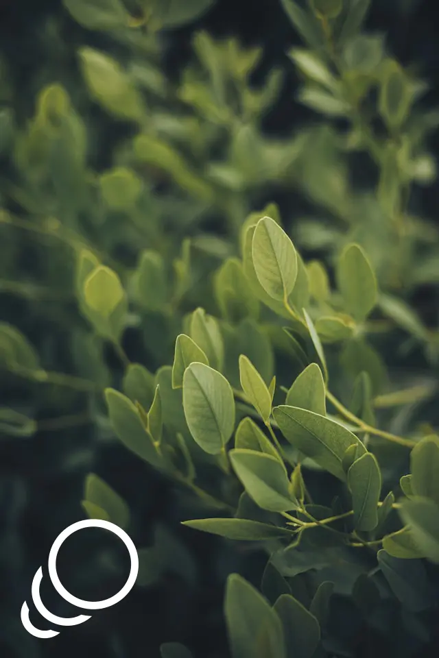 Sustainability Advisory Services in Crete - ARENCOS Consultants