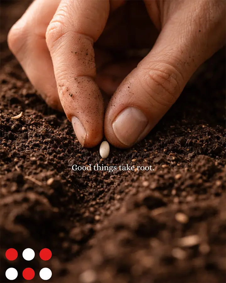 Good Things Take Root - ARENCOS